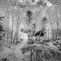 Blizzard In Jurmala Latvia 