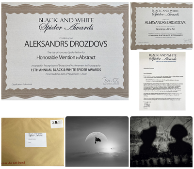 Aleksandrs Drozdovs Received The Title Of Honourable Spider Fellow 2020