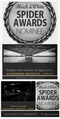 Artist Aleksandrs Drozdovs As Nominee In Black And White Spider Awards 2023