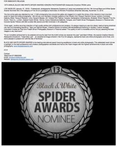 13th Annual Black And  White Spider Awards Honors Photographer Aleksandrs Drozdovs From Latvia  